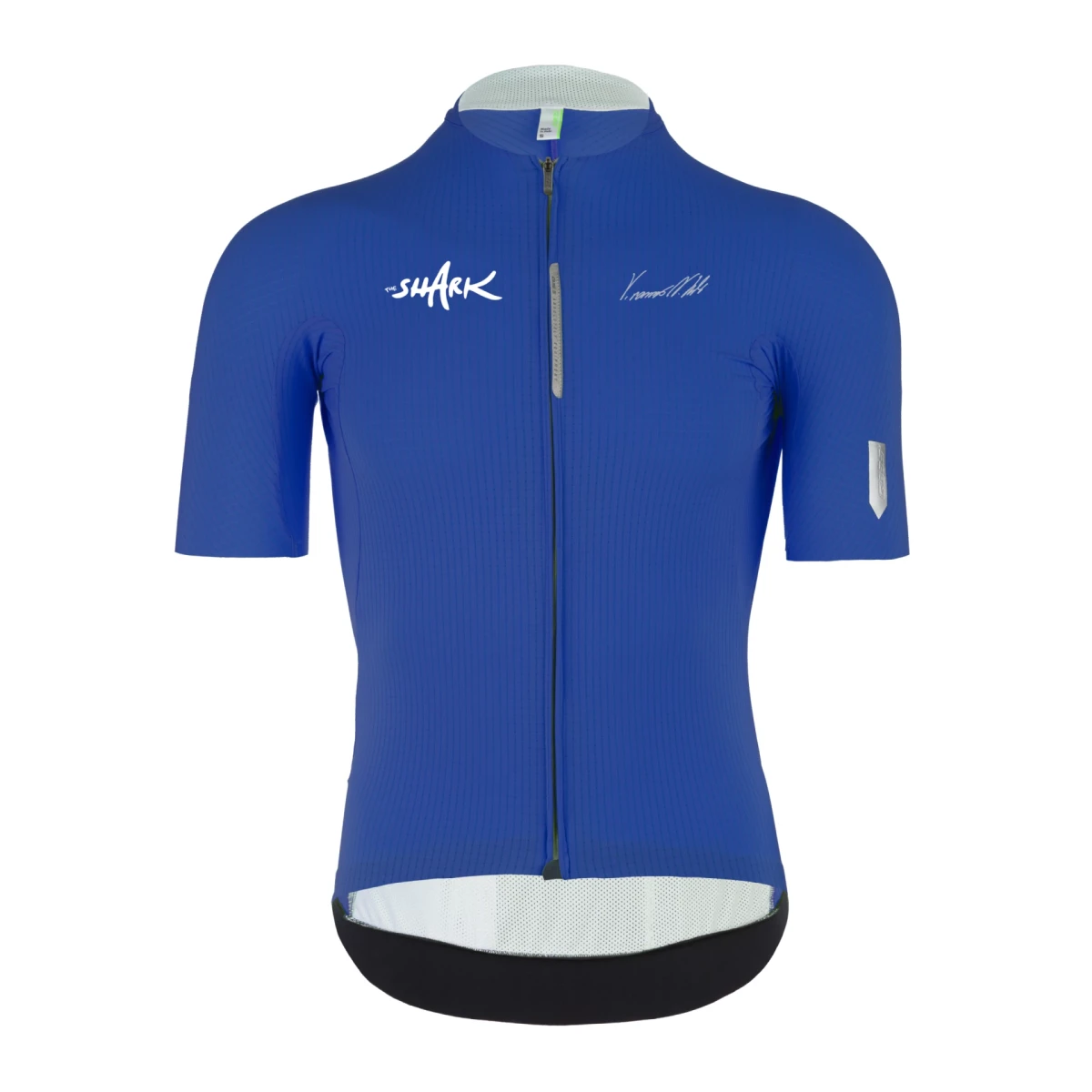 Q36.5 | Dottore Pro | Kurzarmtrikot | Nibali The Shark