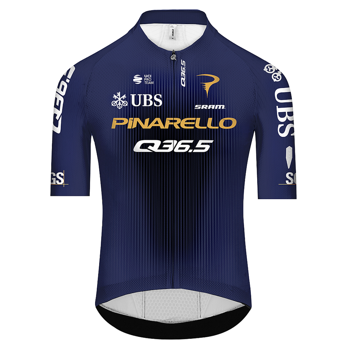Q36.5  | Gregarius Clima | Kurzarmtrikot | Pinarello Pro Cyc