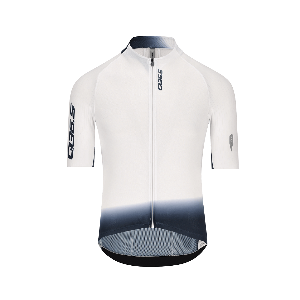 Q36.5 | Gregarius Pro Signature Jersey | Kurzarmtrikot | Col