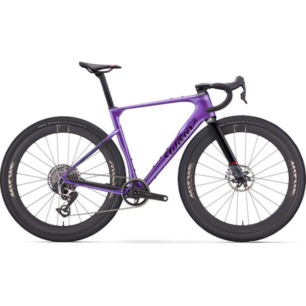 Neon Purple